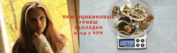 шишки Новодвинск