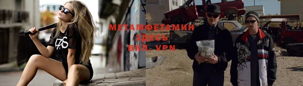 шишки Новодвинск