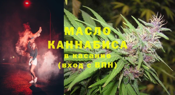 шишки Новодвинск