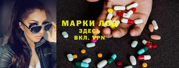 шишки Новодвинск