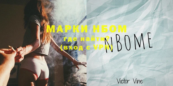 шишки Новодвинск