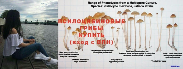 первитин Верхний Тагил