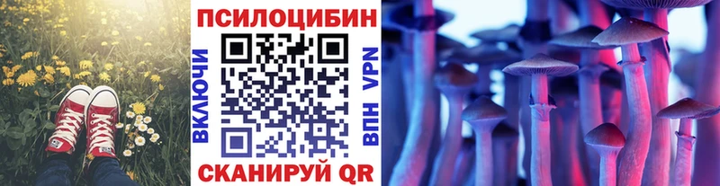 Псилоцибиновые грибы GOLDEN TEACHER  Ясногорск 