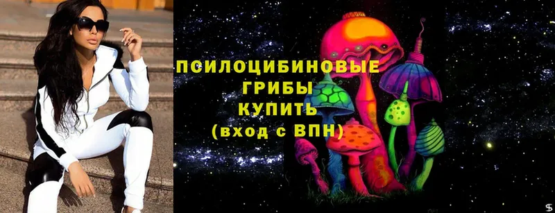 Псилоцибиновые грибы мухоморы  omg ссылка  Ясногорск 